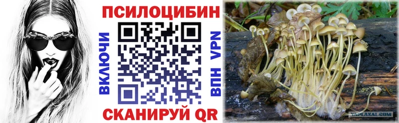 Галлюциногенные грибы мухоморы Купить Слюдянка